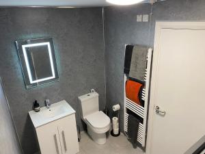 斯特拉班Dunlap Apartments的一间带卫生间、水槽和镜子的浴室