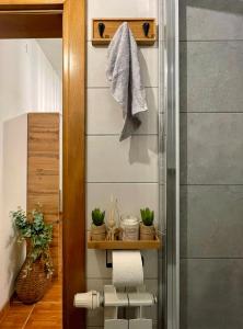 戈斯皮奇Studio Central Square的带淋浴的浴室和植物架子