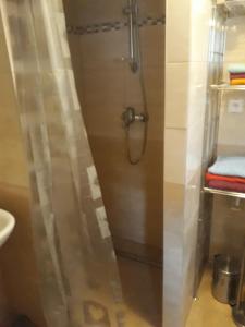 HaligovceChata pod skalou的带淋浴的浴室,带玻璃门
