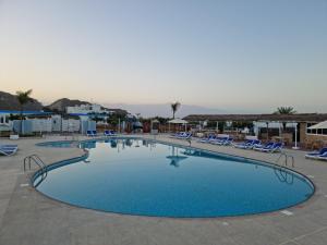 迪巴Holiday Beach Resort的度假村内带躺椅的大型游泳池