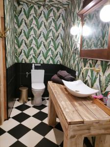 Oude PekelaVilla Le Jardin的一间带水槽和卫生间的浴室