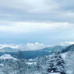 Muntele CacoveiFamily Nest Cabana in Statiunea Muntele Baisorii的一座有树木和山脉的雪覆盖的山丘