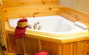 柏林Blessing Lodge by Amish Country Lodging的带浴缸和水槽的浴室