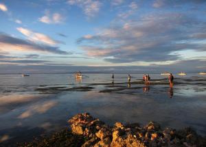 邦劳邦劳岛水蓝度假村的一群人站在海滩上的水面上