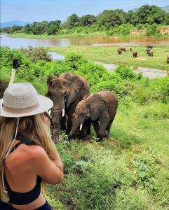 马里兰里约维斯塔旅舍的戴帽子的女人,看着一群大象