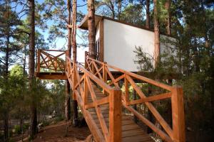 La GuanchaCasita colgada "Can Lia"的森林中的树屋,有木楼梯