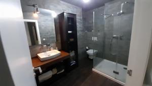 塞代拉A Tonera (Praza Roxa)的一间带水槽和玻璃淋浴的浴室