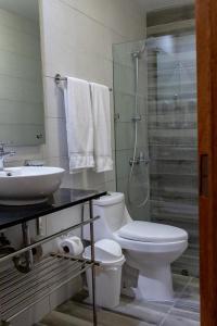 圣多明各阿拉丁诺酒店的浴室配有卫生间、盥洗盆和淋浴。