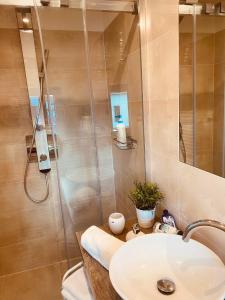 俄斯特拉发Trio Apartments的一间带水槽和淋浴的浴室