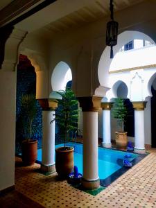 马拉喀什Riad L'Orchidée Suites & Spa的种有盆栽植物的庭院和游泳池