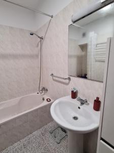 蓬塔德尔加达Scenic Comfort D的一间带水槽、浴缸和镜子的浴室