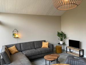 阿尔滕Achterhoekse vakantiewoning, infraroodsauna, geweldig uitzicht, goede bedden的带沙发和电视的客厅