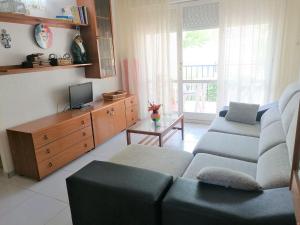 佩尼斯科拉Arcos LEK的带沙发和电视的客厅