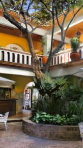 瓦哈卡市多米尼科旅馆的相册照片