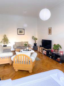 贝尔格莱德Bueno Apartment的客厅配有两张沙发和一台电视机
