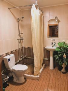 KrasnikВершина Карпат的浴室配有卫生间、淋浴和盥洗盆。