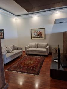 拉合尔The Polo Residence, Lahore, Near Allama Iqbal International Airport (Apartment)的带沙发和地毯的客厅