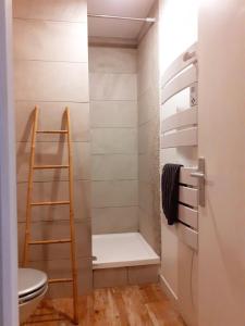 萨尔拉拉卡内达Tourny - Studio cosy Centre médiéval Sarlat的带淋浴、卫生间和梯子的浴室