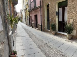 卡利亚里Casa Victoria的楼边有盆栽的小巷