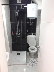 比耶利纳Stan na dan Simikic的一间带卫生间和淋浴的小浴室