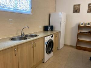阿达莱斯Apartamento Martín的厨房配有水槽和冰箱