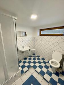 鲁容贝罗克Apartmán Klaudia的一间带卫生间和水槽的浴室