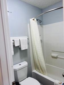 LulingCoachway Inn的浴室配有白色卫生间和淋浴。