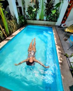 里奥阿查Bona Vida Hostel的狗在游泳池游泳