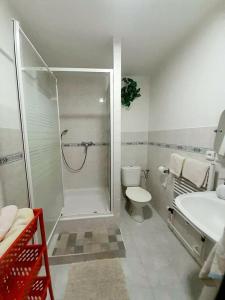 兹诺伊莫思蒂旅馆的带淋浴、卫生间和盥洗盆的浴室