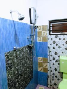 KoslandaKoslanda Rest的带淋浴的浴室,拥有蓝色的墙壁