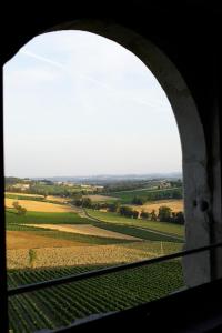 卡于扎克叙尔韦尔萨勒特城堡酒店的从火车窗口欣赏田野景色