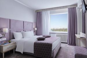 莫斯科伊兹麦洛娃三角洲酒店的一间卧室设有一张大床和一个大窗户