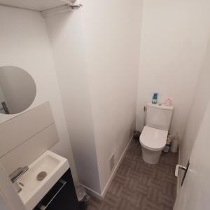 奥尔良Chambre Monde Tout confort Saint-Marceau的一间带卫生间和水槽的小浴室
