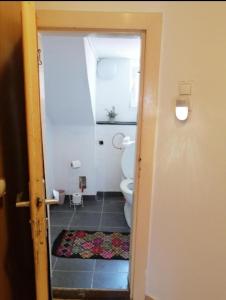 格拉茨ApartGraz的一间带卫生间的小浴室和门廊