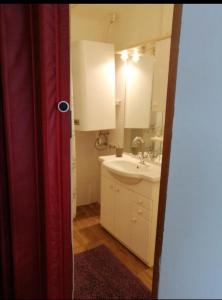 格拉茨ApartGraz的一间带水槽和镜子的浴室