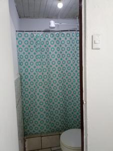 阿拉胡埃拉Departamentos Patricia的浴室设有卫生间和绿色淋浴帘。
