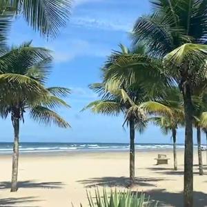 索莱马Casa aconchegante mirin praia grande的棕榈树海滩和海洋