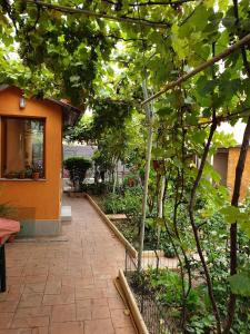康斯坦察Casuta Lavi Constanta的一座花园,旁边是砖砌的走道