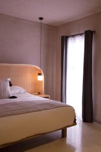 瓦哈卡市Casa Antonieta的一间卧室设有一张大床和一个窗户。