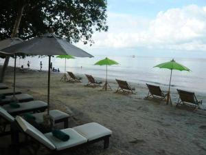 象岛象岛班普度假酒店的海滩上的一组椅子和遮阳伞