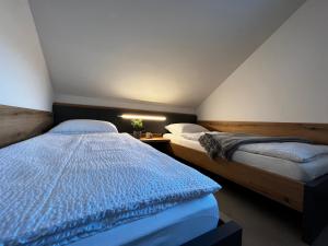 莫斯特纳索契POČITNIŠKA HIŠA BAČA RIVER的一间卧室配有两张单人床。