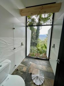 福尔图纳Sangregado Lodge的一间带卫生间的浴室和大窗户