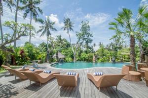 博拉巴图Pangkung Carik Villa by Pramana Villas的一个带椅子和树木的度假村游泳池
