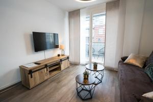 德累斯顿Stylisches Apartment im Herzen von Dresden + Parkplatz + Netflix + Self Check-in的带沙发和平面电视的客厅