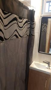 弗里敦Mansholl Luxurious Apartment的浴室配有淋浴帘和盥洗盆。