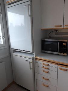 奥卢Viihtyisä yksiö Oulun Tuirassa的厨房配有冰箱和微波炉。