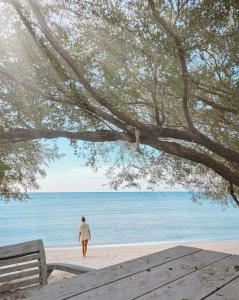吉利特拉旺安威尔逊休闲酒店的一位在海滩上树下行走的女人