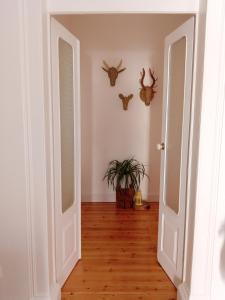 奥德米拉Casa da Umbria的走廊上设有门,墙上有鹿角