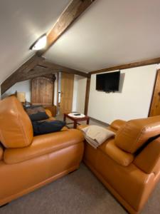 克拉斯纳利帕Penzion Vlčárna的客厅配有两张真皮沙发和一台平面电视