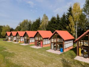 皮什Nowe domy na Mazurach- Totutaj Wejsuny的田野中一排有红色屋顶的房屋
